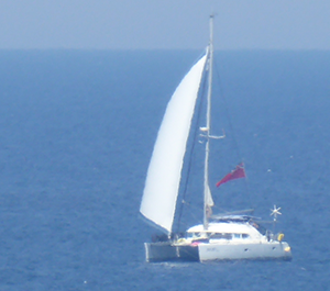 sailing multihulls